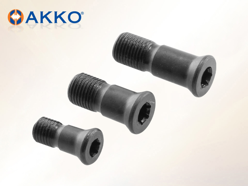AKKO 1220-M5X0.5X9 BALL NOSE SCREW