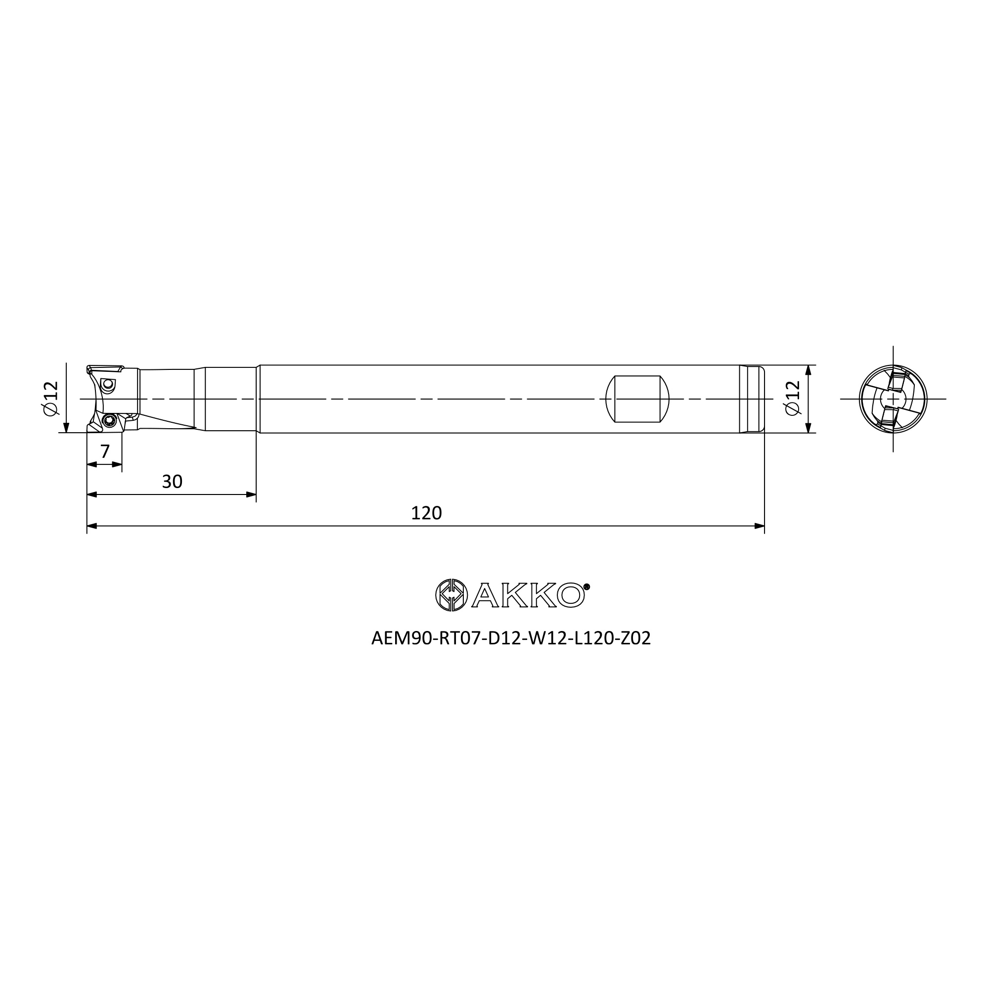 AKKO AEM90-RT07-D12-W12-L120-Z02 — фото 3