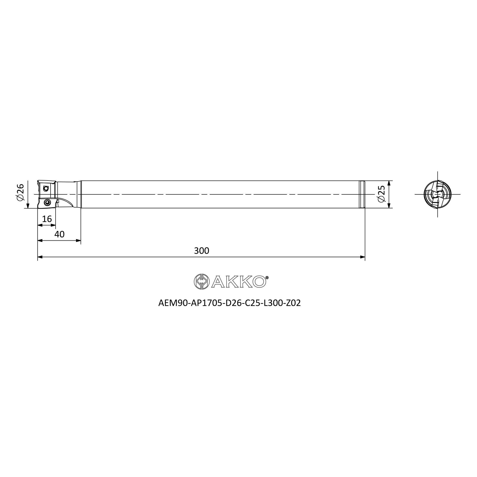 AKKO AEM90-AP1705-D26-C25-L300-Z02 — фото 3