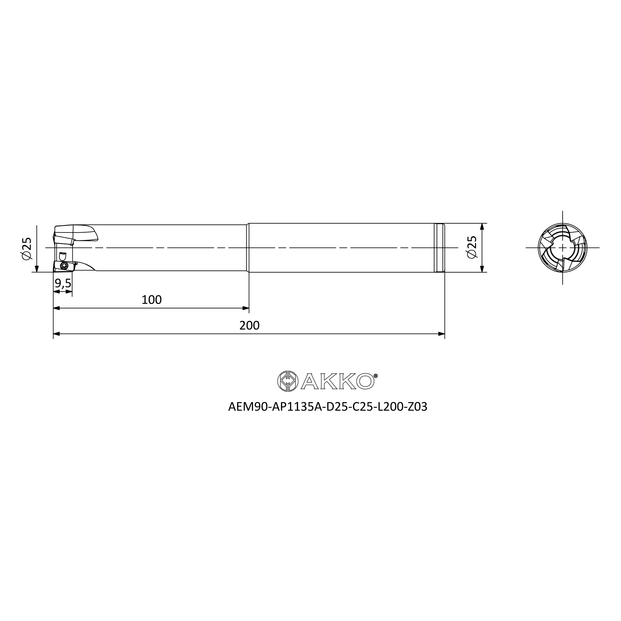 AKKO AEM90-AP1135A-D25-C25-L200-Z03 — фото 3