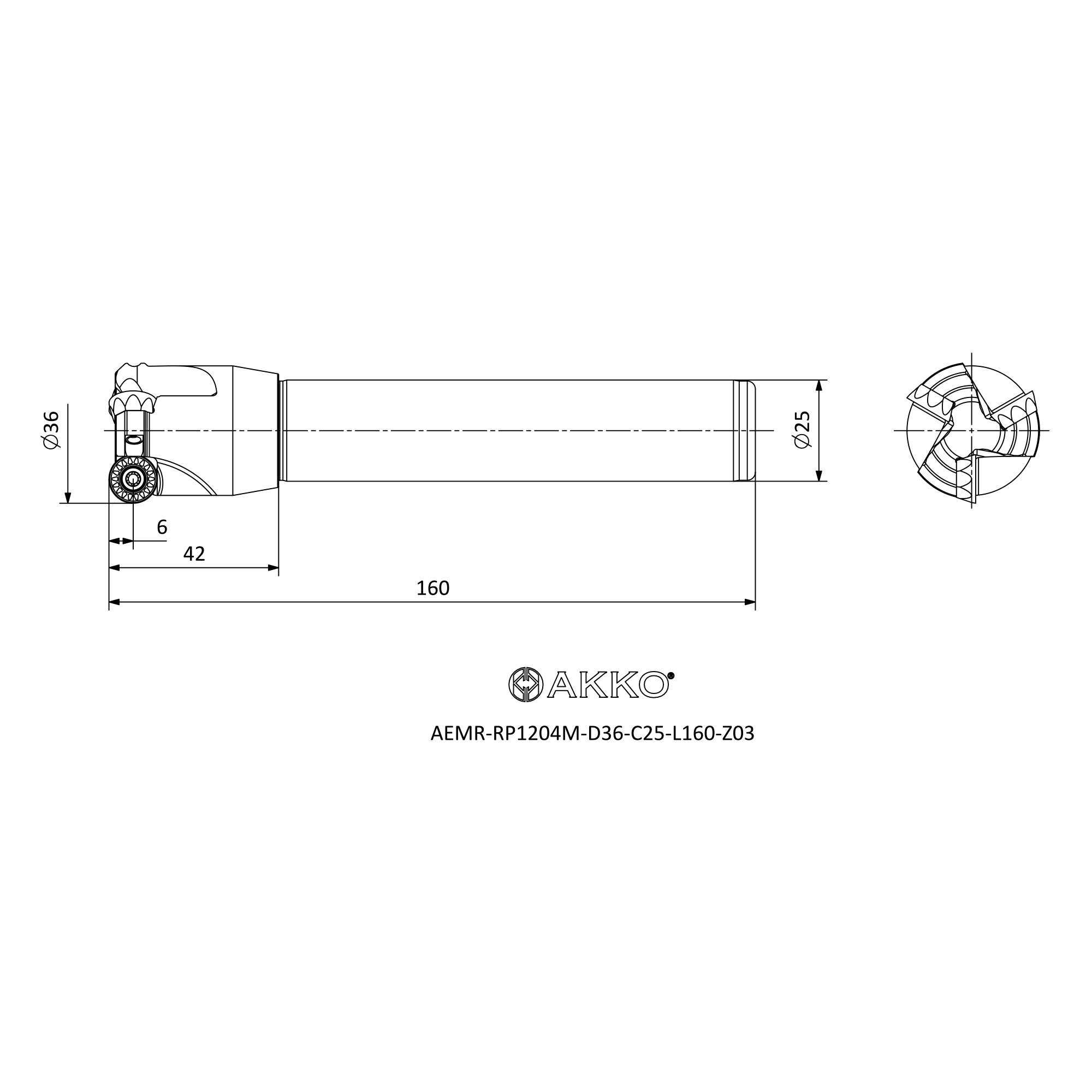 AKKO AEMR-RP1204M-D36-C25-L160-Z03 — фото 3